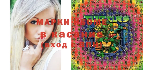 индика Семикаракорск